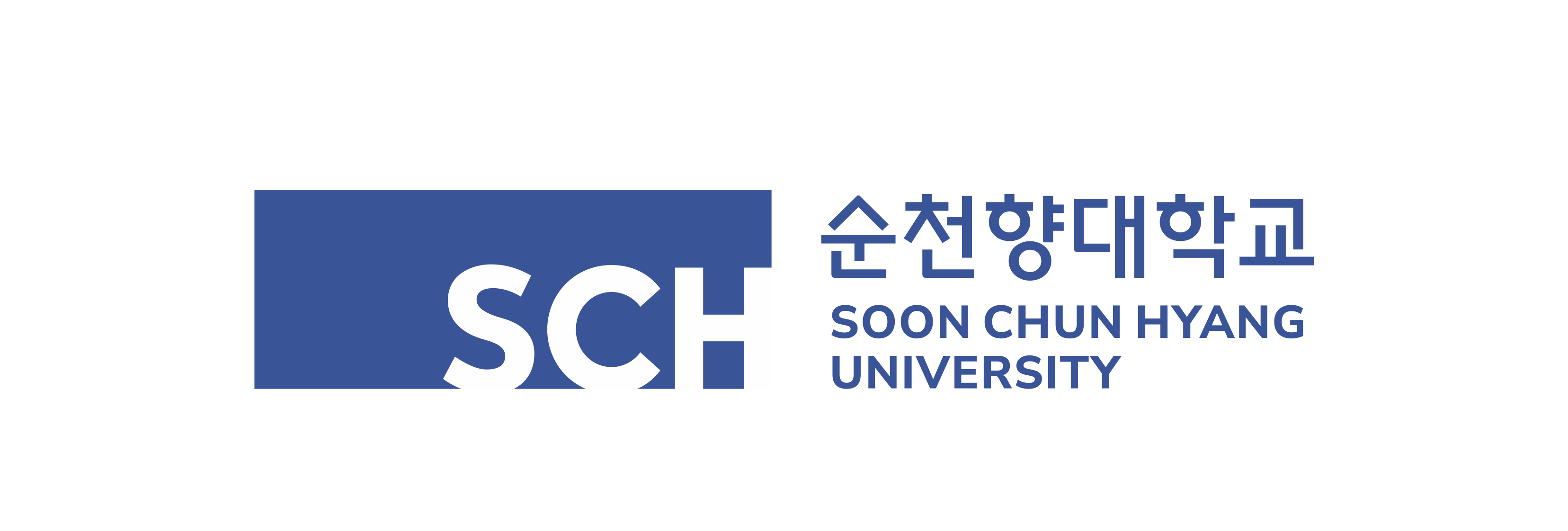 Sponsor Organization 6
